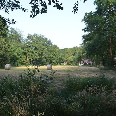 Vierseitenhof Appartements Burg  Buitenkant foto