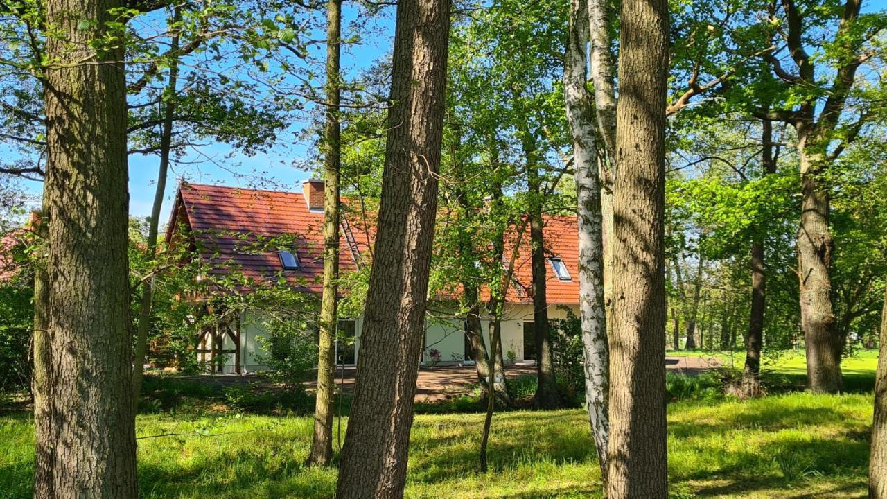 Vierseitenhof Appartements Burg  Buitenkant foto