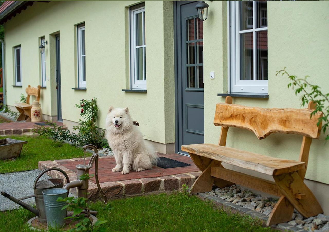 Vierseitenhof Appartements Burg  Buitenkant foto