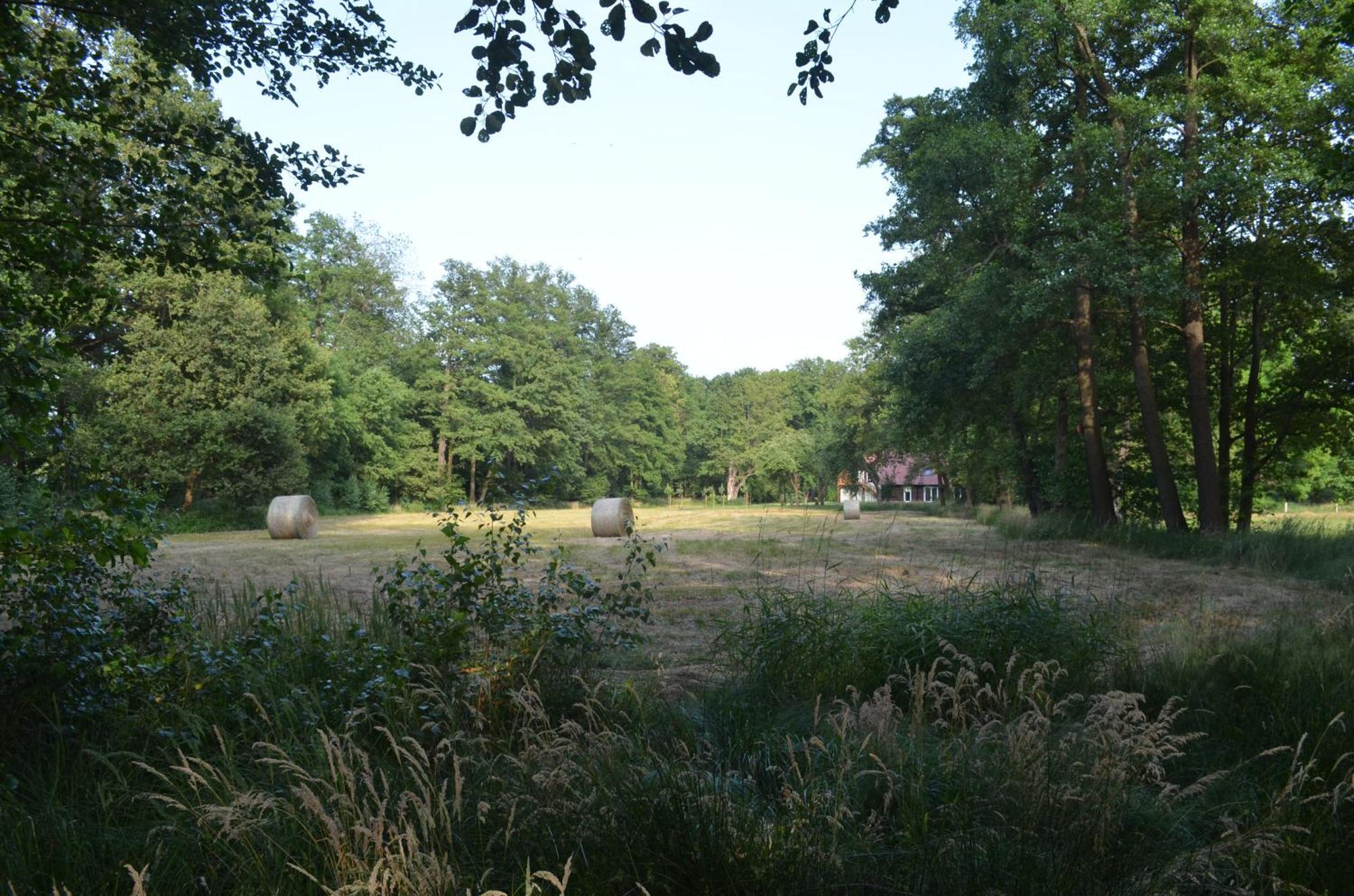 Vierseitenhof Appartements Burg  Buitenkant foto